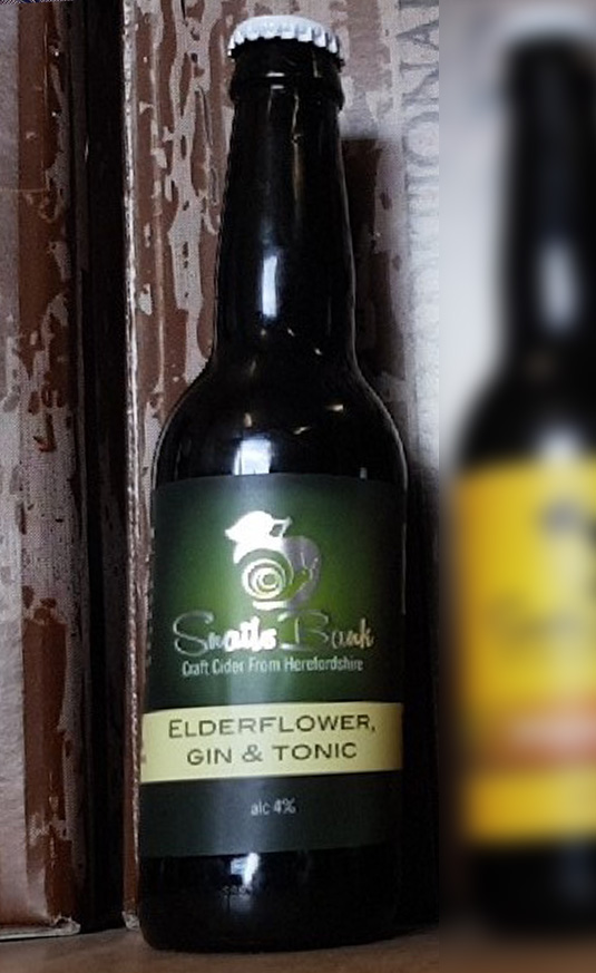 ElderflowerGinTonicbottle